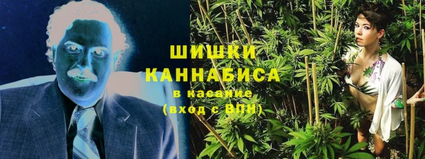spice Алзамай