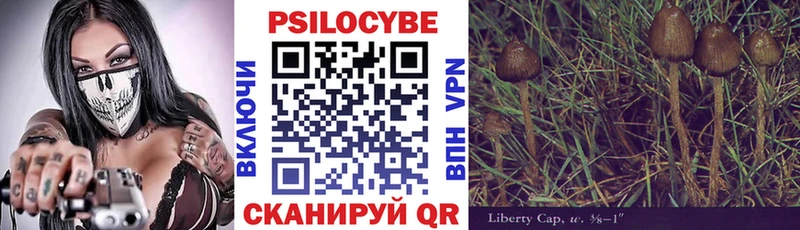 Галлюциногенные грибы Cubensis  OMG вход  Находка 