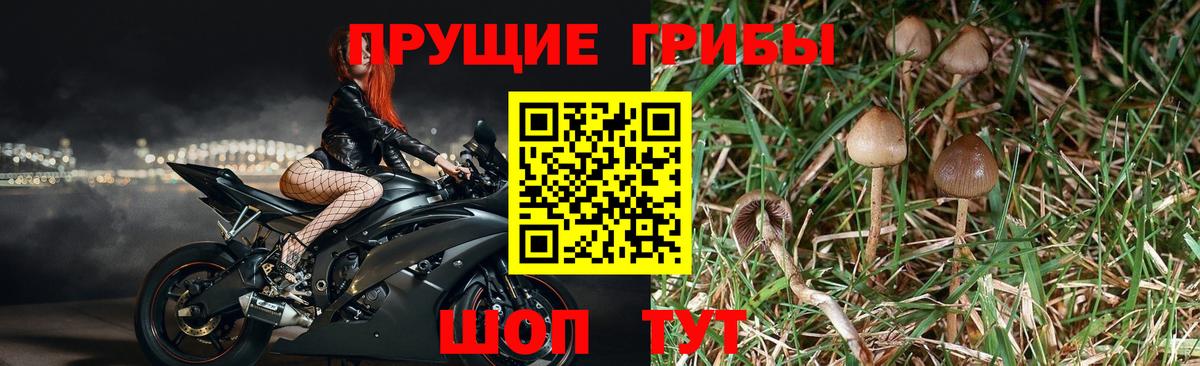 Псилоцибиновые грибы мухоморы Находка