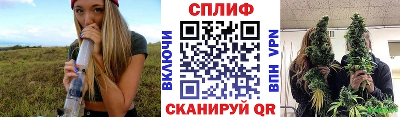 Конопля SATIVA & INDICA  что такое наркотик  Находка 
